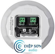 Loa âm trần JBL Control 65P/T