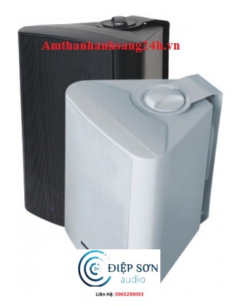 Loa hộp treo tường OBT-584